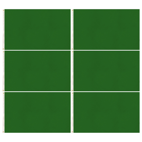 6x Plain Green Flag Bulk Pack - School Colours/Houses - Sports Days (90x150cm)