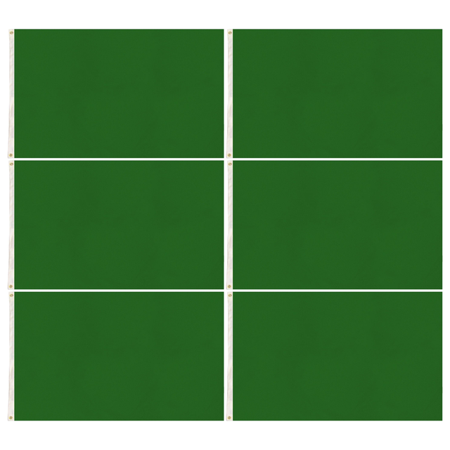 6x Plain Green Flag Bulk Pack - School Colours/Houses - Sports Days (90x150cm)