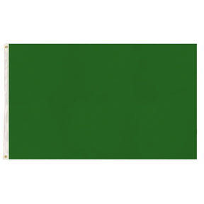 Plain Green Flag - School Colours/Houses - Sports Days (90x150cm)