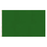Plain Flag for School Colours Sports Day & Other Uses - Green (90x150cm)