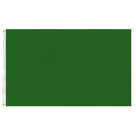 6x Plain Green Flag Bulk Pack - School Colours/Houses - Sports Days (90x150cm)