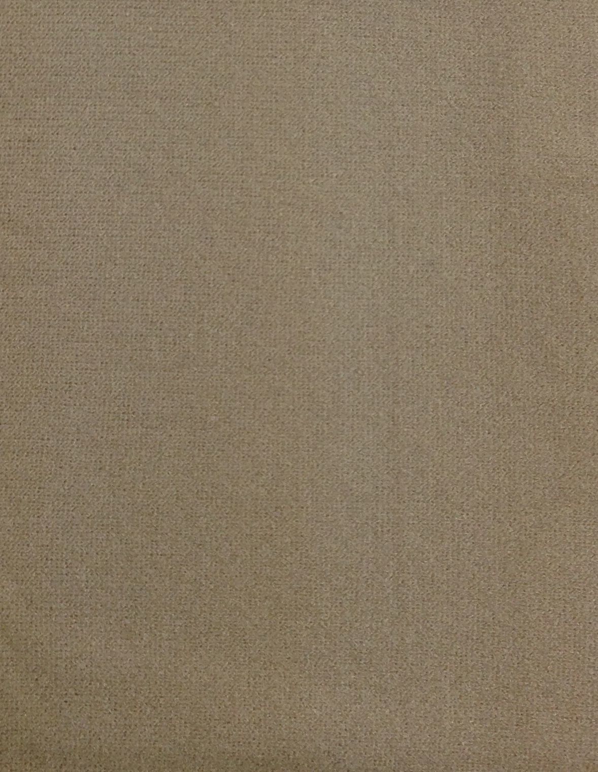 Beige Pantyhose Tights - Womens Stockings Hosiery (One Size)