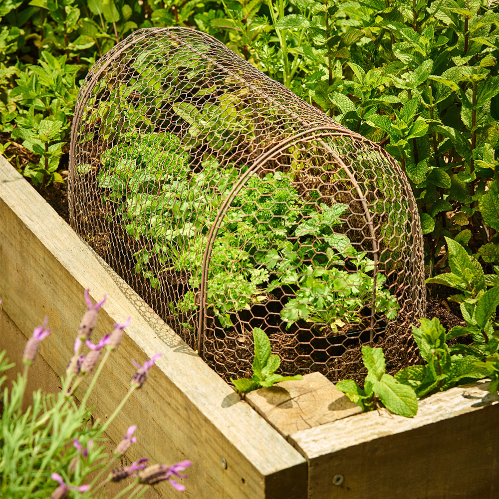 Metal Garden Cloche Tunnel Set Garden Seedling Guard Plant Protector - 70cm Long x 30cm Wide