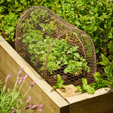 Metal Garden Cloche Tunnel Set Garden Seedling Guard Plant Protector - 70cm Long x 30cm Wide