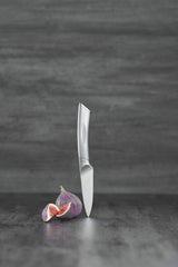 Scanpan Classic Steel Step 7 Piece Knife Block Set in Silver