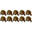 10x Bocchetta 11cm Mini Echidna Plush Toy Bulk Pack (Australian Stuffed Animal Souvenir Keyring Gift)