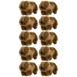 10x Bocchetta 14cm Mini Wombat Plush Toy Bulk Pack (Australian Stuffed Animal Souvenir Keyring Gift)
