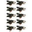 10x Bocchetta 14cm Mini Squirrel Glider Plush Toy Bulk Pack (Australian Stuffed Animal Souvenir Keyring Gift)