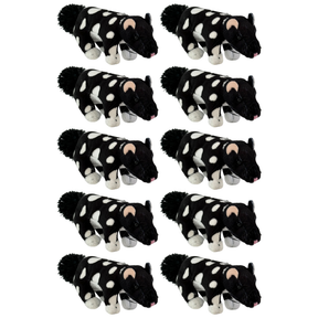10x Bocchetta 13cm Mini Quoll Plush Toy Bulk Pack - Black (Australian Stuffed Animal Souvenir Keyring Gift)