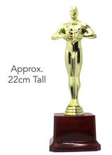 22cm Award Trophy - Champions/Winners/Party/Achivement