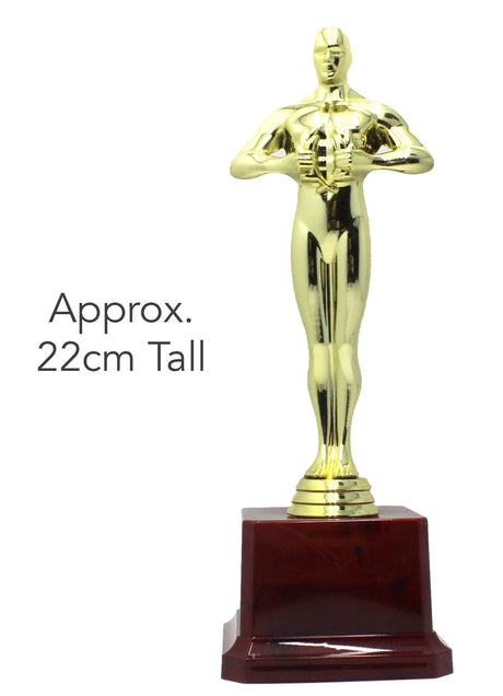 6x 22cm Award Trophy Bulk Pack - Champions/Winners/Party/Achievement
