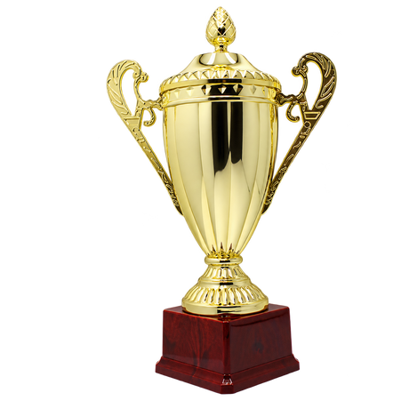 Large Classic Gold Trophy Cup - Novelty Winners Prize (Achievement Award)