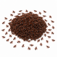 120x Mini Fake Ants Trick Toy Bulk Pack - Halloween Prank Bug Set (Scary Gag)