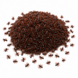 240x Mini Fake Ants Trick Toy Bulk Pack - Halloween Prank Bug Set (Scary Gag)