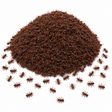 480x Mini Fake Ants Trick Toy Bulk Pack - Halloween Prank Bug Set (Scary Gag)