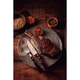 Tramontina 4pc Jumbo Steak Knife Set Polywood Dishwasher Safe in Brown
