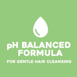 OGX 385ml Refreshing Scalp + Teatree Mint Conditioner