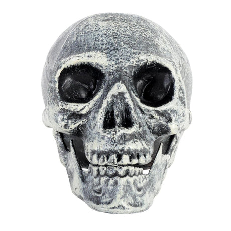 Skull Prop with Opening Jaw - Grey/White (19x16cm Halloween Decoration)