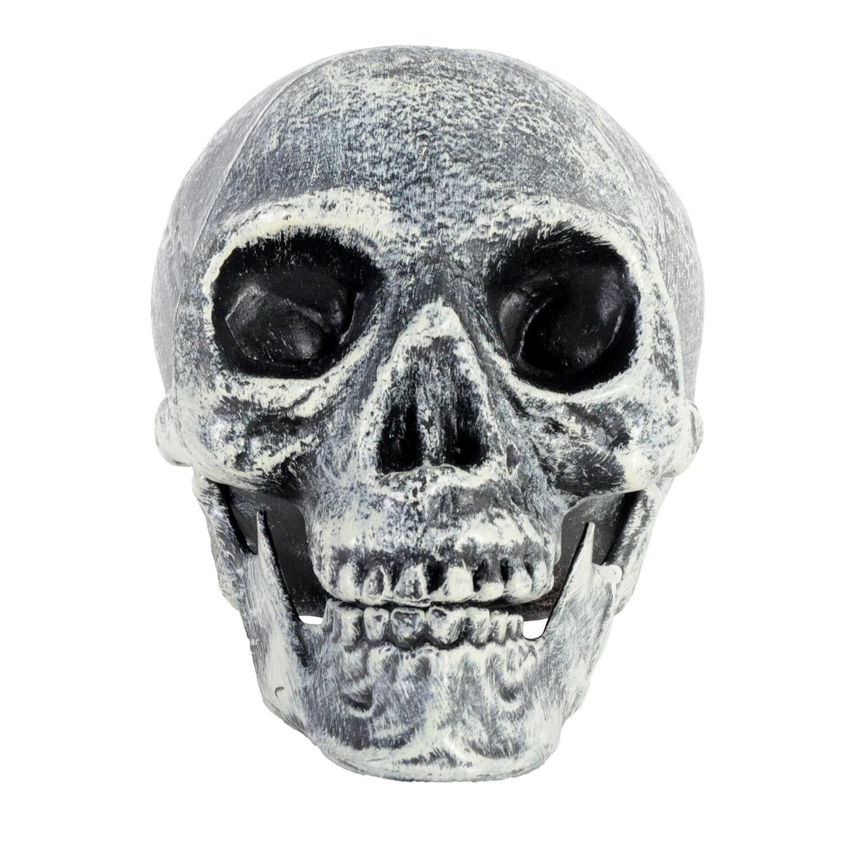 Skull Prop with Opening Jaw - Grey/White (19x16cm Halloween Decoration)