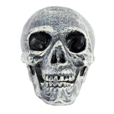 Skull Prop with Opening Jaw - Grey/White (19x16cm Halloween Decoration)
