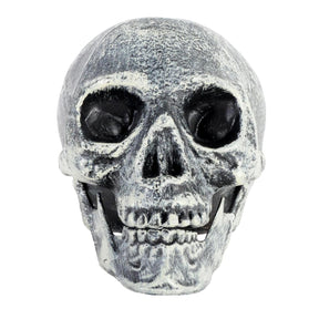 Skull Prop with Opening Jaw - Grey/White (19x16cm Halloween Decoration)