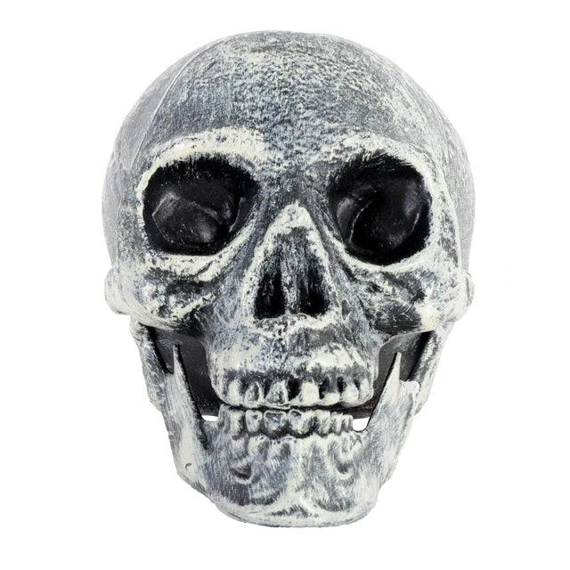 Skull Prop with Opening Jaw - Grey/White (19x16cm Halloween Decoration)