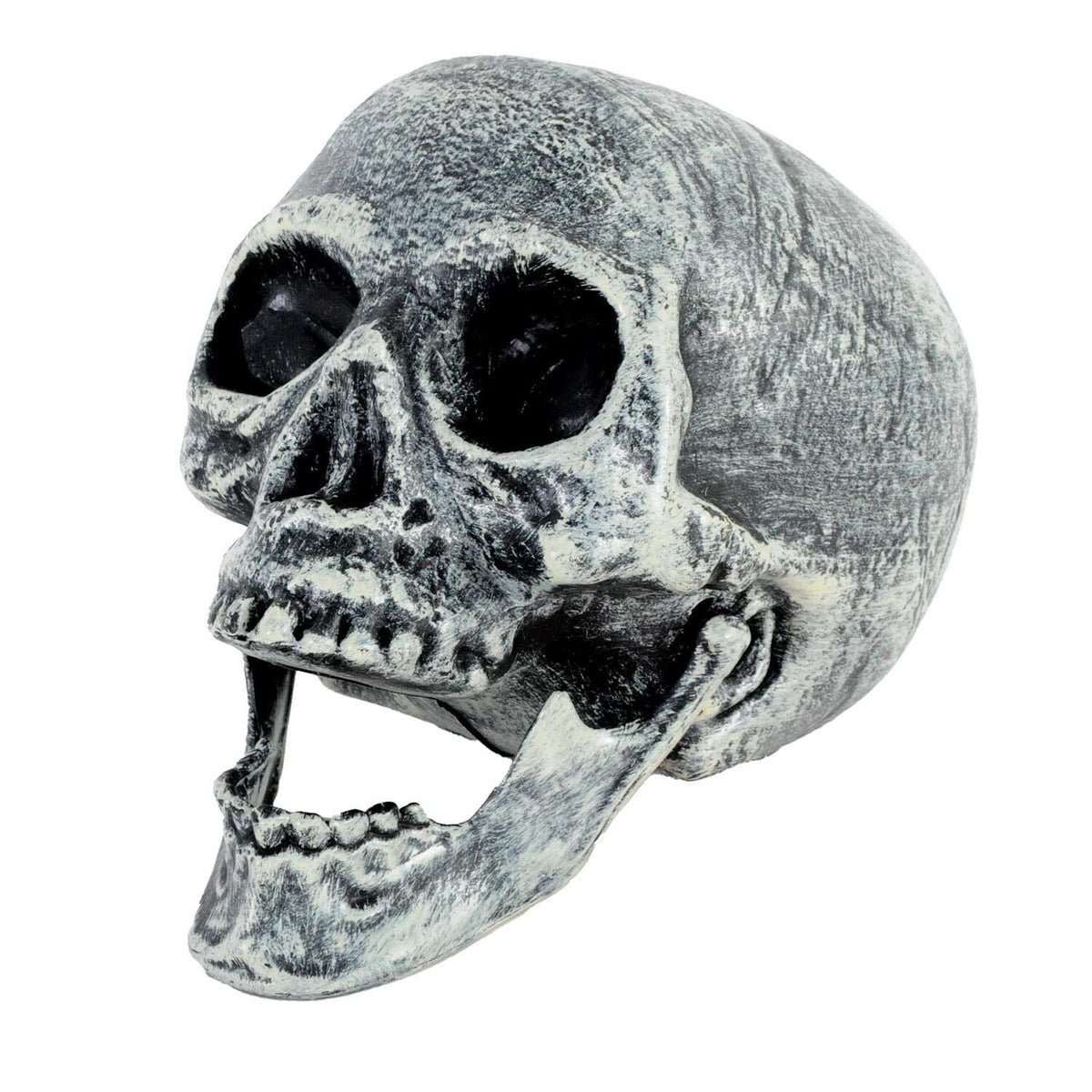 Skull Prop with Opening Jaw - Grey/White (19x16cm Halloween Decoration)