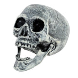 Skull Prop with Opening Jaw - Grey/White (19x16cm Halloween Decoration)