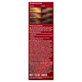 Revlon ColorSilk 20 Brown Black Permanent 3D Hair Colour w/ Keratin - Brown/Black