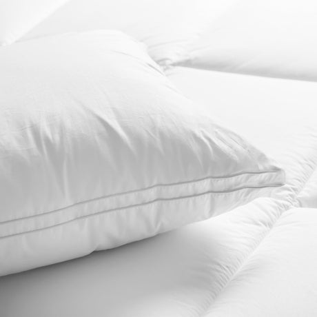 Renee Taylor Down Alternative Standard Pillow - Australian Made (48 x 73cm)