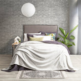 Renee Taylor Plush 380 GSM Ultra Soft Velvet Blanket - Silver Line (OEKO-TEX Certified)