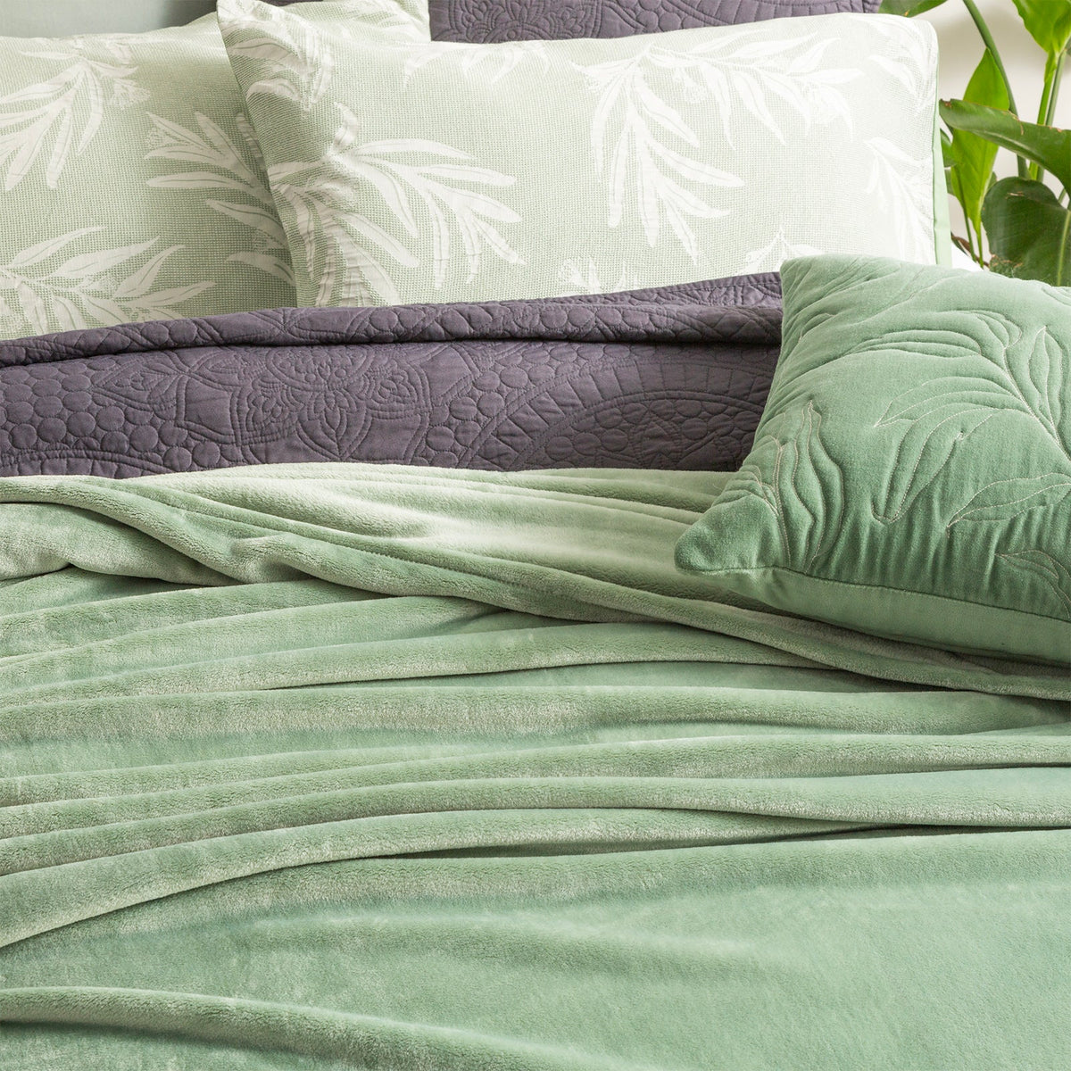 Renee Taylor Plush 380 GSM Ultra Soft Velvet Blanket - Eucalyptus (OEKO-TEX Certified)