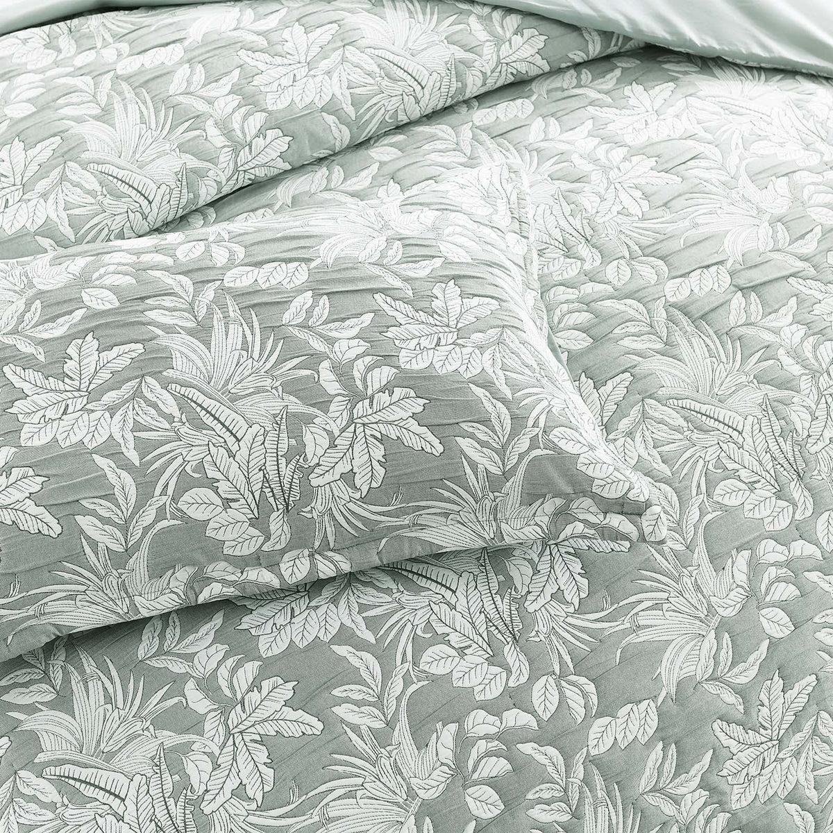 Renee Taylor Indiana Cotton Matelasse Jacquard Quilt Cover Set - Fern (OEKO-TEX Certified)