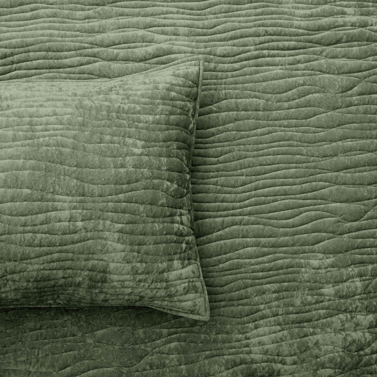 Renee Taylor Blake Velvet Coverlet Set - Military (Bedspread with Cotton Reverse)