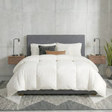 Renee Taylor Premium Australian Wool Quilt (550 GSM)