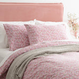 Park Avenue 175 GSM Egyptian Cotton Flannelette Quilt Cover Set - Ditty