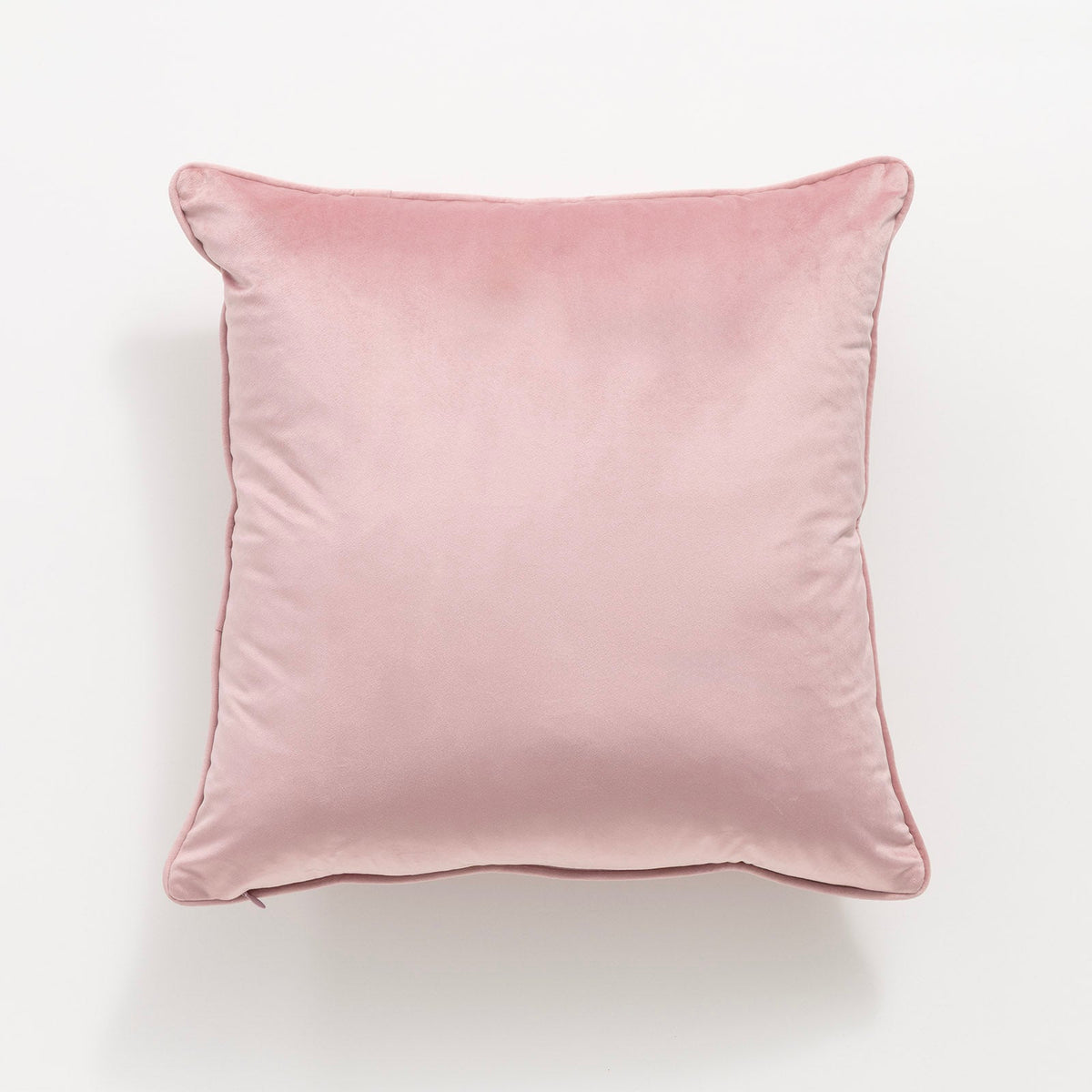 Renee Taylor Icon Velvet Cushion - Blossom (Square Decorative Throw Pillow - 50 x 50cm)