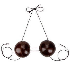 Natural Coconut Shell Bra - Hawaiian Luau Hula Bikini Top (Fancy Dress)