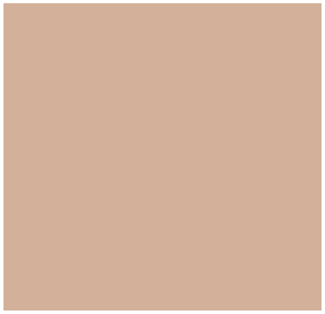 Covergirl Trublend Comfort Matte Made Liquid Foundation 30ml - L60 Light Nude