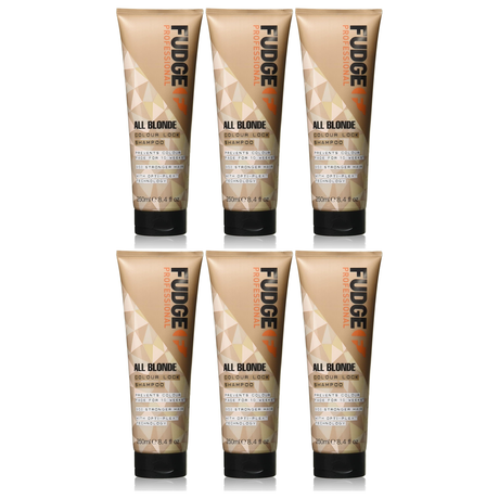 6x Fudge Professional 250ml All Blonde Colour Lock Shampoo Bulk Pack (Colour Fade Protection)