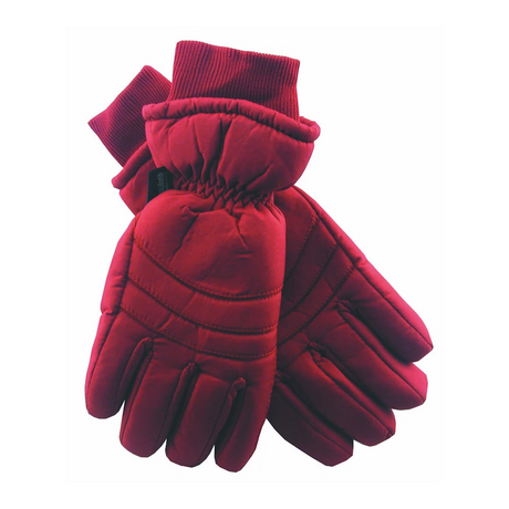 Avenel Womens 3M Thinsulate Waterproof Ski Gloves - Red