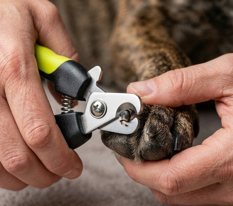 Medium DOG NAIL CLIPPERS Pet Cat Grooming Clipper Pliers Scissors Trimmer Cutter