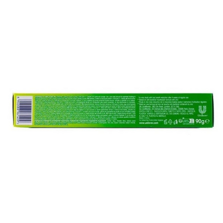 9x Closeup Toothpaste Everfresh Menthol Paradise 90g Bulk Pack