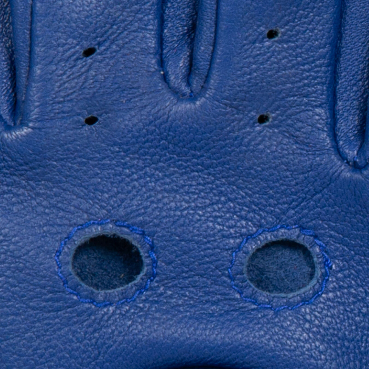 Dents Womens Fingerless Unlined Leather Driving Gloves in Marine Blue