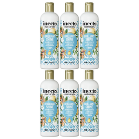6x 500ml Inecto Brilliant Shine Shampoo Bulk Pack - For Frizzy Hair (Natural Argan Oil)