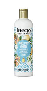 Inecto Brilliant Shine Argan Shampoo Frizz Control Hair Wash 500ml