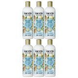 6x 500ml Inecto Brilliant Shine Conditioner Bulk Pack - For Frizzy Hair (Natural Argan Oil)
