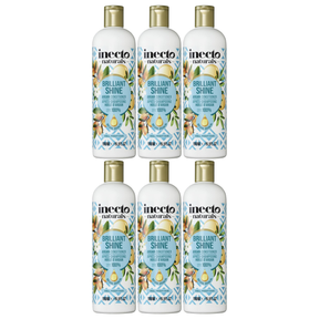 6x 500ml Inecto Brilliant Shine Conditioner Bulk Pack - For Frizzy Hair (Natural Argan Oil)