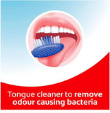 12x Colgate Extra Clean Toothbrush Medium Bulk Pack (12 Packs of 1)