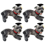 4x Bocchetta Flint 35cm Lying Graduation Staffy Plush Toy Bulk Pack - Grey (Stuffed Animal Dog Grad Gift)